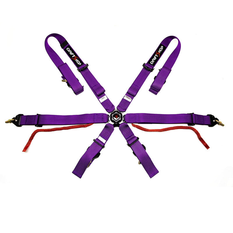 ARNÉS 6 PUNTOS FIA 2024 MORADO