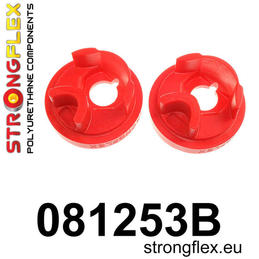081253B: Soporte Inserto Caja de Cambios