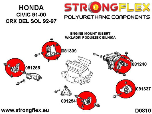 081254B: Inserciones Soporte Inferior Izquierdo Motor