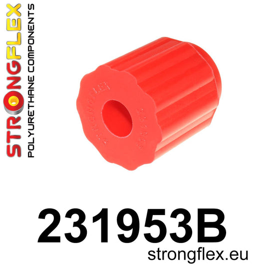 231953B: Silentblock Delantero del Eje Trasero