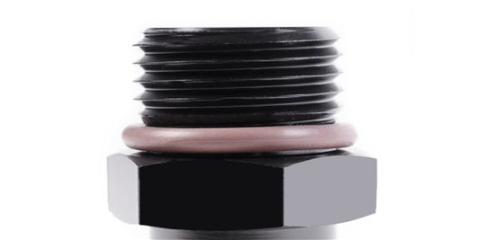 Racor 8AN ORB a 1/8NPT Hembra Radium Engineering