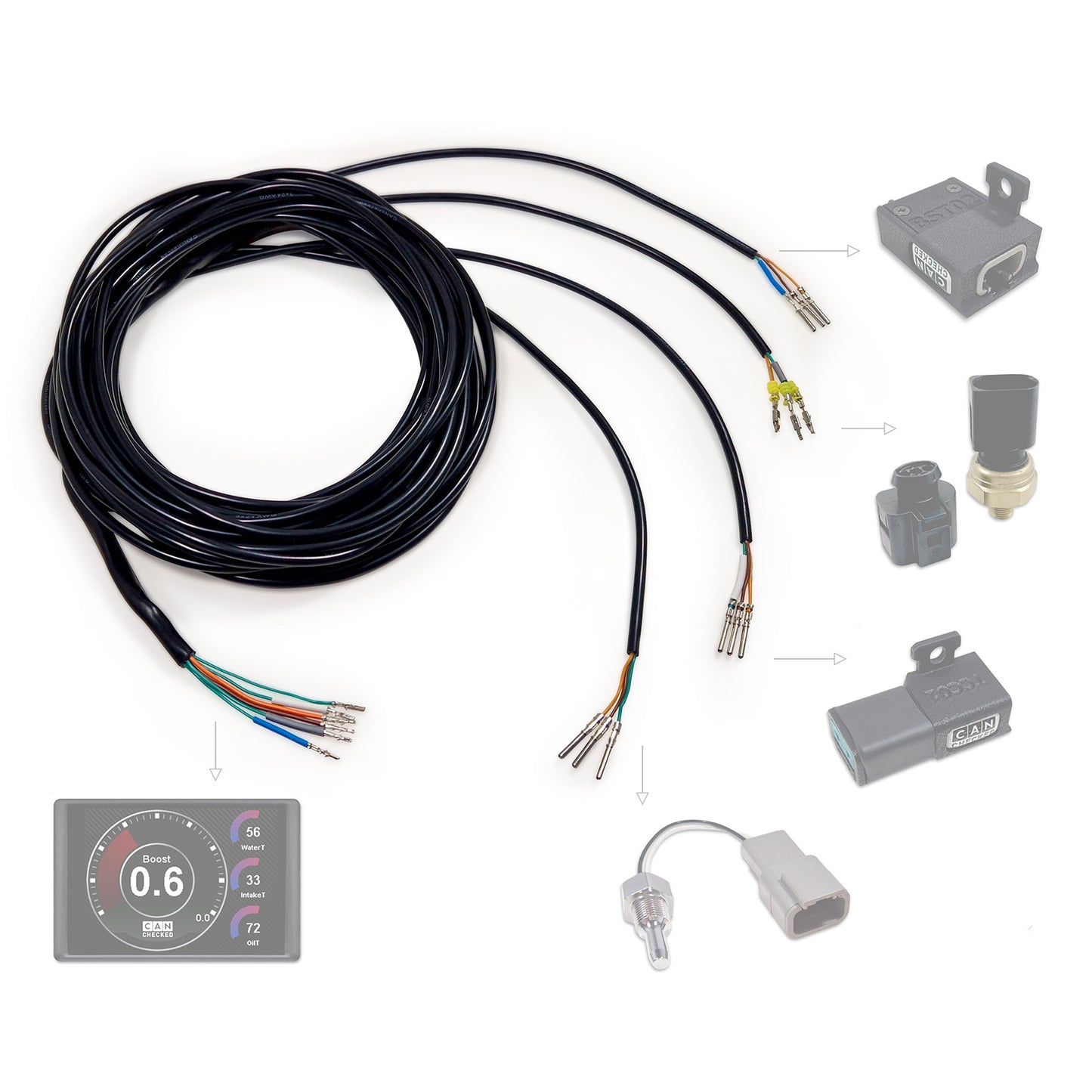 Arnés Compatible CANchecked ANC04 Sensores Analógicos - Imagen 2