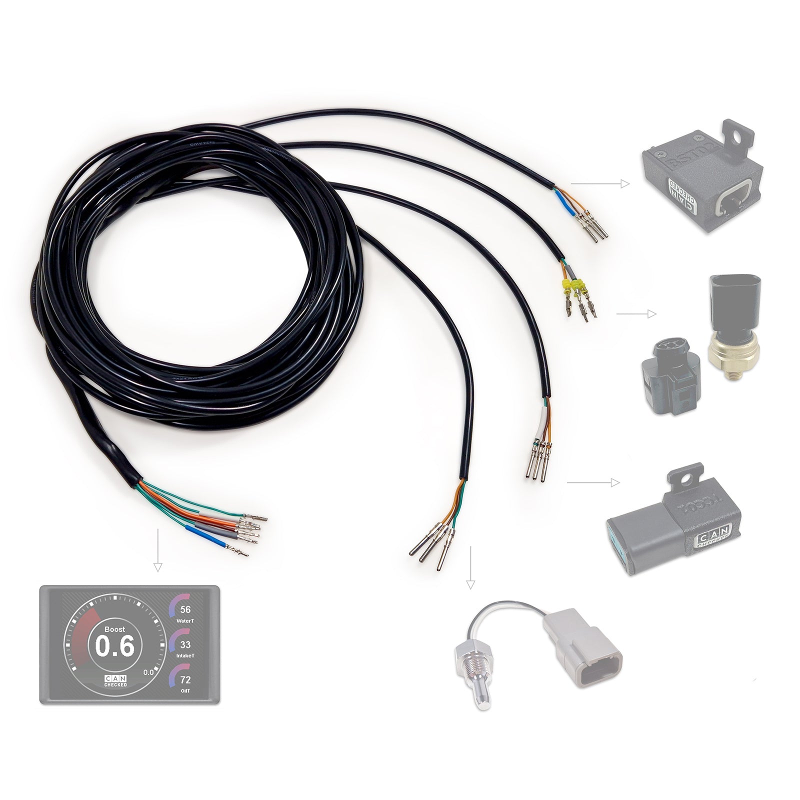Arnés Compatible CANchecked ANC04 Sensores Analógicos - Imagen 2