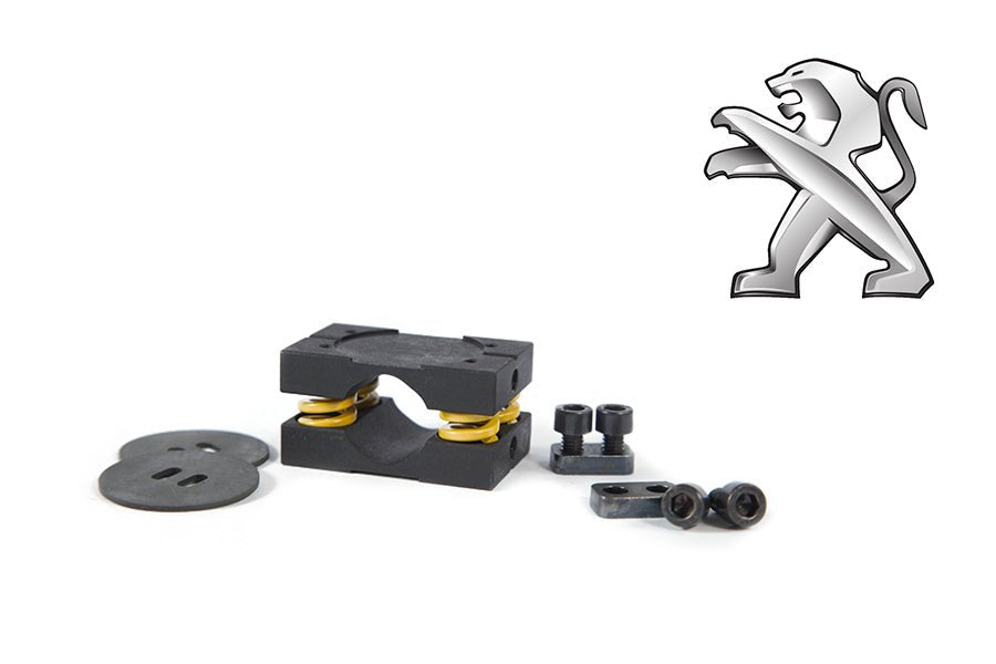 Kit de Conversión LSD BE3 & BE4 para Peugeot Citroen