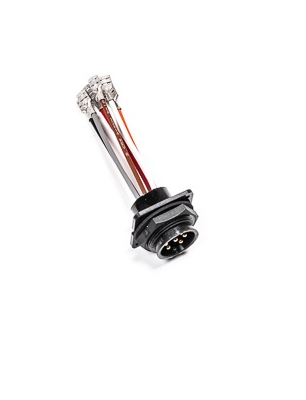 Mazo de Cables Mamparo, 3 Bombas Walbro F90000262 Radium Engineering