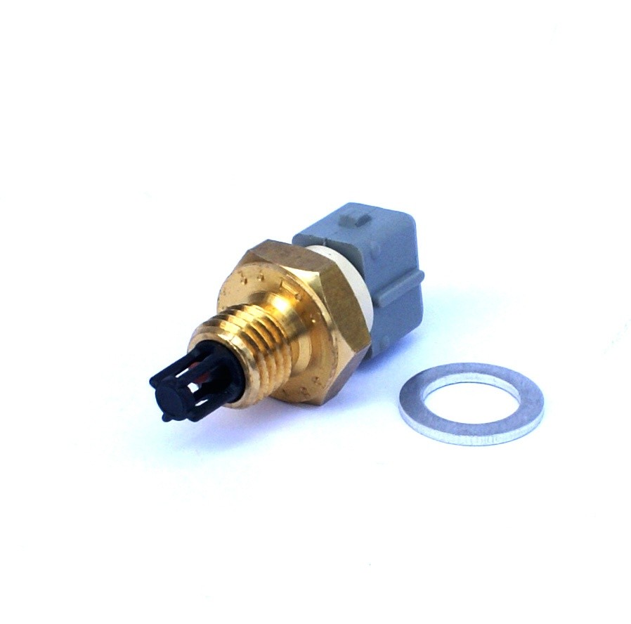 Sensor IAT