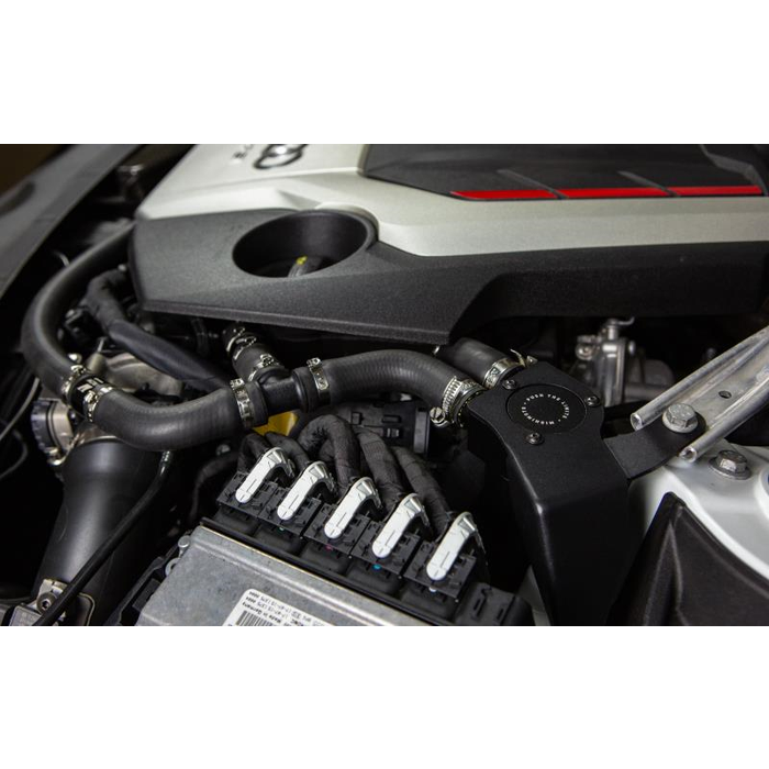 Mishimoto MMBCC-S4-18PBE Catch Can Baffled Audi B9 S4/S5 18+ - Imagen 2