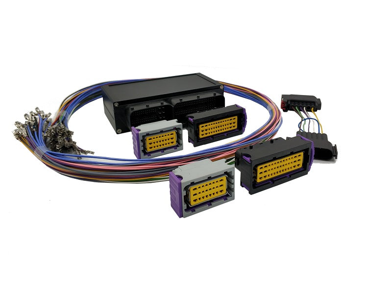 Interconector Ford Focus Mk2 RSST para EMU BLACK con arnés Ecumaster
