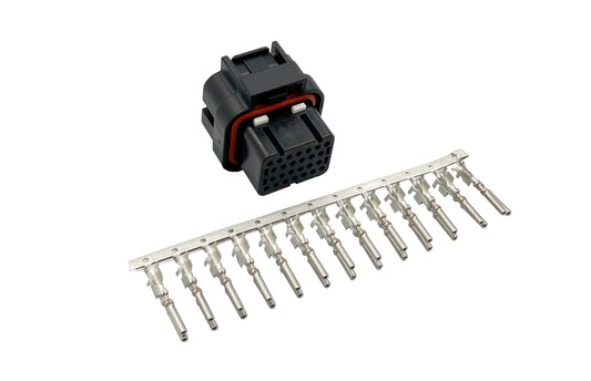 Conectores PnP con Terminales BAM/BUB/BFH/2zr Ecumaster